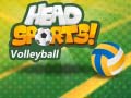 Игра Волейбал од Head Sports онлајн