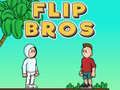 Игра Flip Браќа онлајн