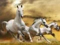 Игра Слајд на Бегачкиот Кон онлајн