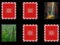 Игра Сеча на шумата онлајн