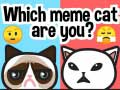 Игра Кој си ти мем мачка? онлајн