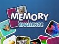 Игра Предизвик за Памете онлајн