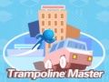 Игра Мајстор на trampolinn онлајн