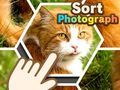 Игра Сортирање на фотографии онлајн