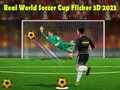 Игра Вистински Светски Куп во Фудбал Flicker 3D 2023 онлајн
