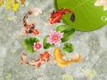 Игра Вода со риби кој онлајн