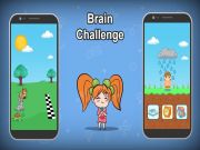 Игра Предизвик на мозокот онлајн