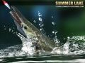 Игра Летно Езеро 1.5 онлајн