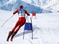Игра Симулатор на слаломско скијање онлајн