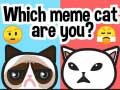 Игра Кој си ти мем мачка? онлајн