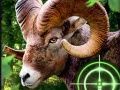 Игра Луд ловец на кози 2020 онлајн