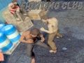 Игра Клуб за борба онлајн