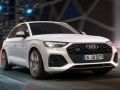 Игра Audi SQ5 TDI Лизгање онлајн