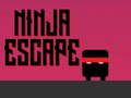 Игра Нинџа бегство онлајн