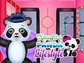Игра Zoglav Panda Stil na život онлајн