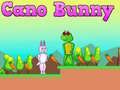 Игра Cano Зајче онлајн Игра Cano Зајче онлајн