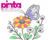 Игра Пинта Бои онлајн Игра Пинта Бои онлајн