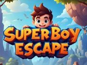 Игра Убежиште на Супер Момчето онлајн