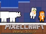Игра PixelCraft Училиште за Животни онлајн