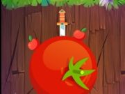 Игра Нинджа кој фрла онлајн