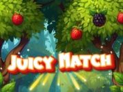 Игра Сочно Согласување онлајн