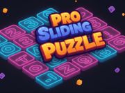 Игра Професионална лизгачка загатка онлајн