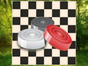 Игра Класични проверка: шума онлајн