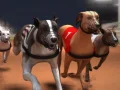 Игра Грејхаунд трки онлајн