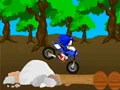 Игра Крос Соник Трка онлајн
