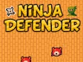 Игра Нинџа Заштитник онлајн
