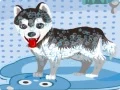 Игра Моето слатко куче во бања онлајн