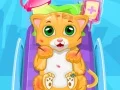 Игра Мали Кот Доктор онлајн