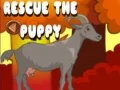 Игра Спасете кученцето онлајн