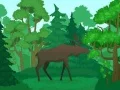 Игра Обојување на Диви Животиња онлајн