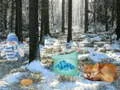 Игра Зимска Чудо Земја: Лесна Авантура онлајн