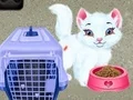 Игра Baby Taylor: Нега на домашни миленичиња онлајн