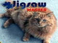 Игра Мајстор на Пазли онлајн