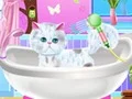 Игра Исклучителен Бербер за Мачки онлајн