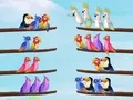 Игра Загатка за сортирање на птици  онлајн