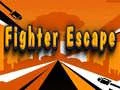 Игра Избегнување на борецот онлајн Игра Избегнување на борецот онлајн