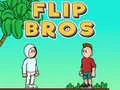 Игра Flip Браќа онлајн