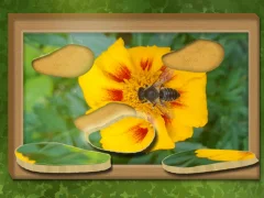 Игра Најдете и вратете онлајн