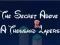 Игра Тајната Над Тиња Степенки онлајн