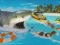 Игра Ајкула онлајн Игра Ајкула онлајн