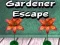 Игра Бегство на Градинарот онлајн