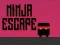 Игра Нинџа бегство онлајн