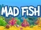 Игра Луда Риба онлајн