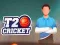 Игра T20 Крикета онлајн