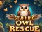 Игра Задивувачко спасување на сова онлајн