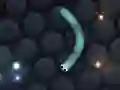 Игра Slither.io онлајн Игра Slither.io онлајн